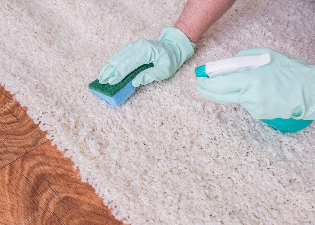 steam cleaning and deep cleaning of a carpet