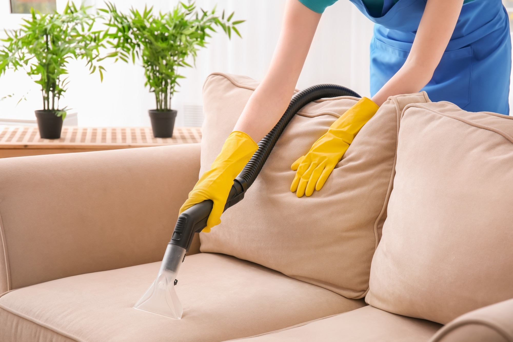 upholstery cleaning in san diego