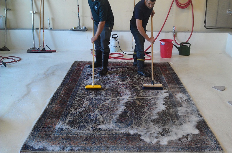 What Is The Average Cost To Clean An Area Rug Under Floor Care