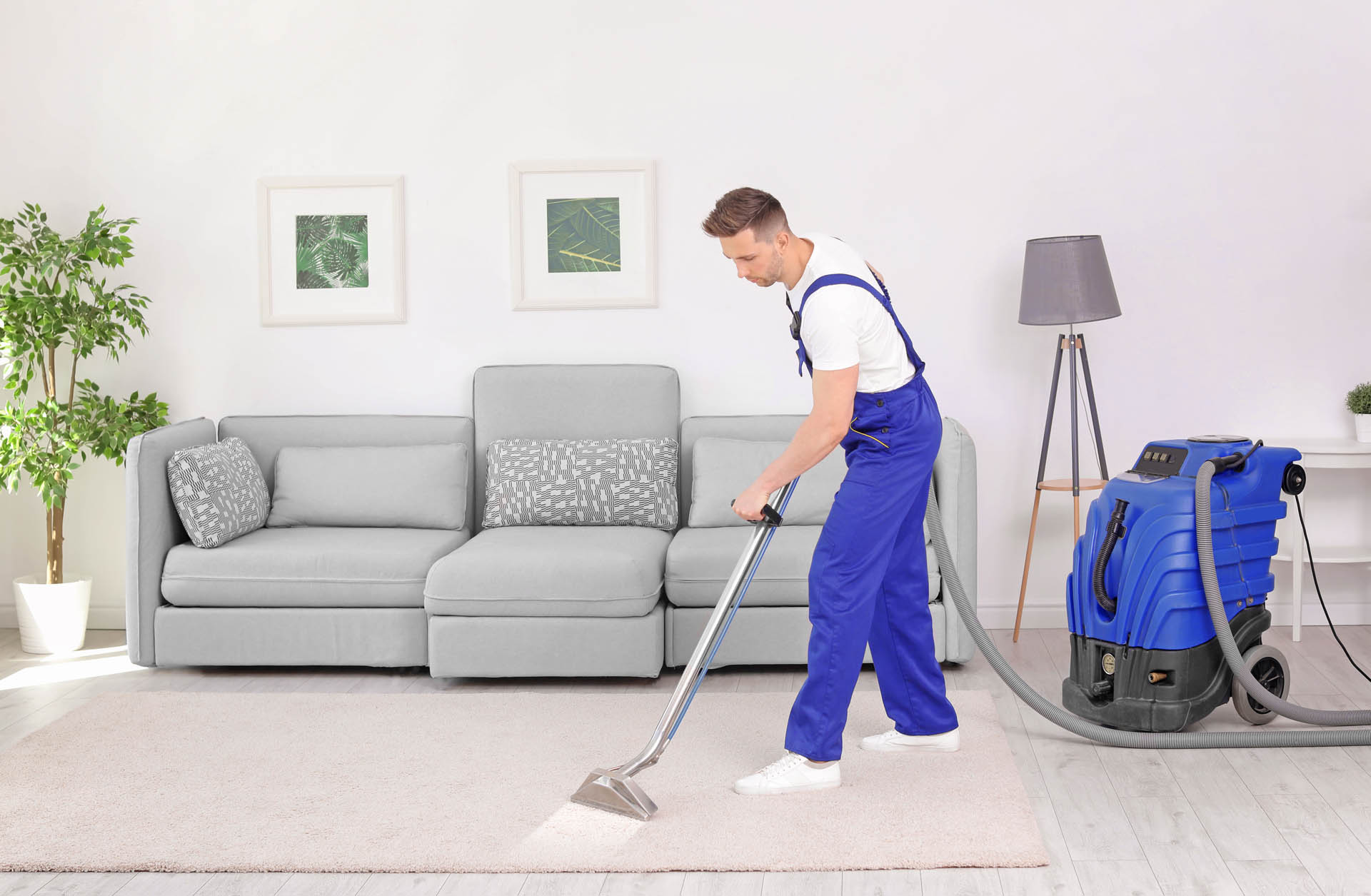 what is the average cost to clean an area rug