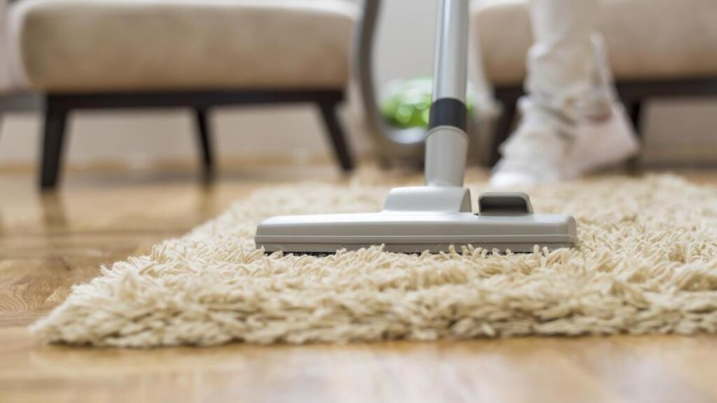 Carpet cleaning service san diego
