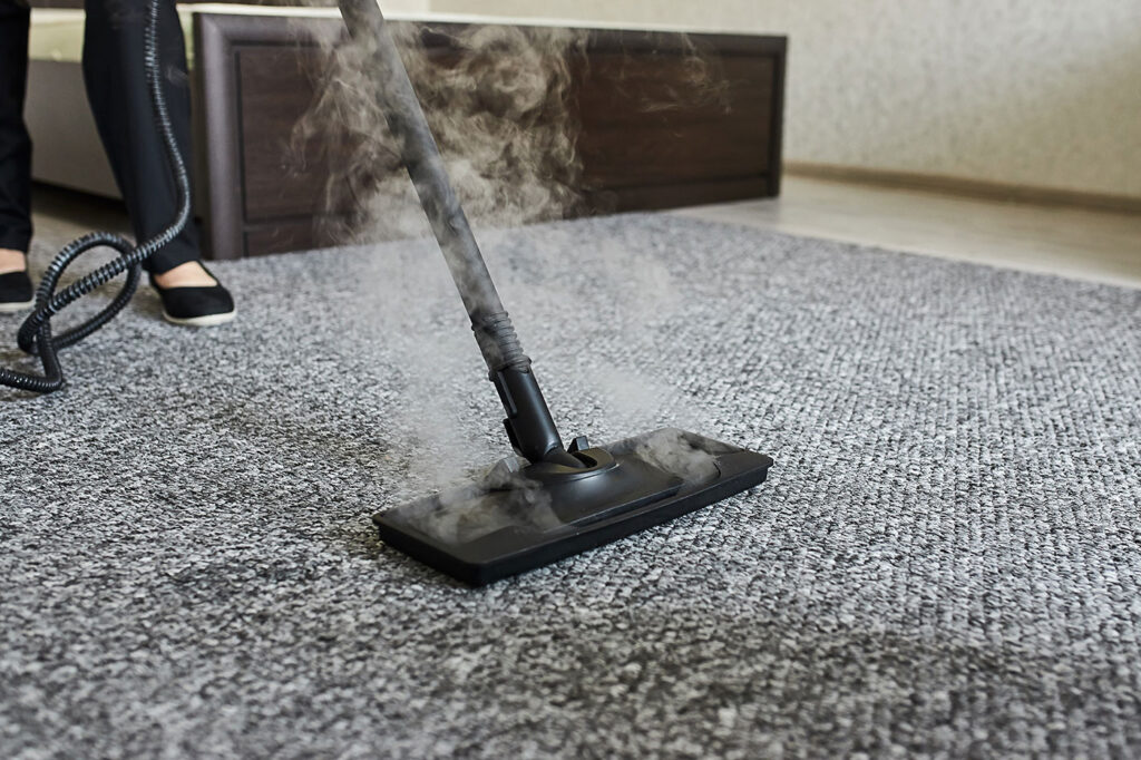 3 most common ways to clean carpet