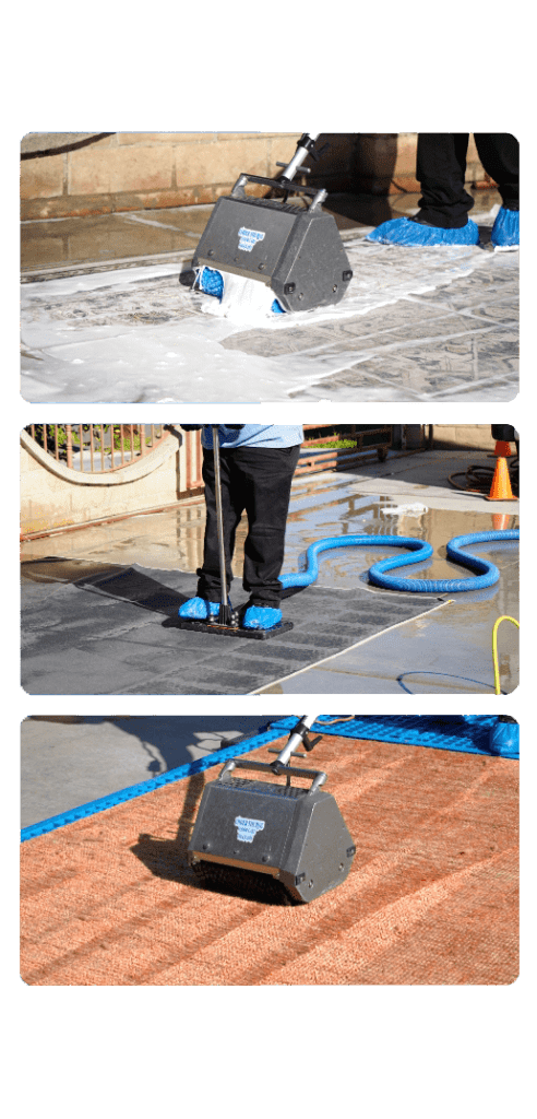 Carpet cleaning service san diego