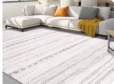 Carpet cleaning service san diego