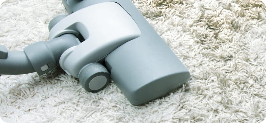 Carpet cleaning service san diego