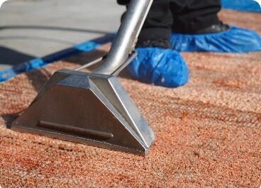 Carpet cleaning service san diego