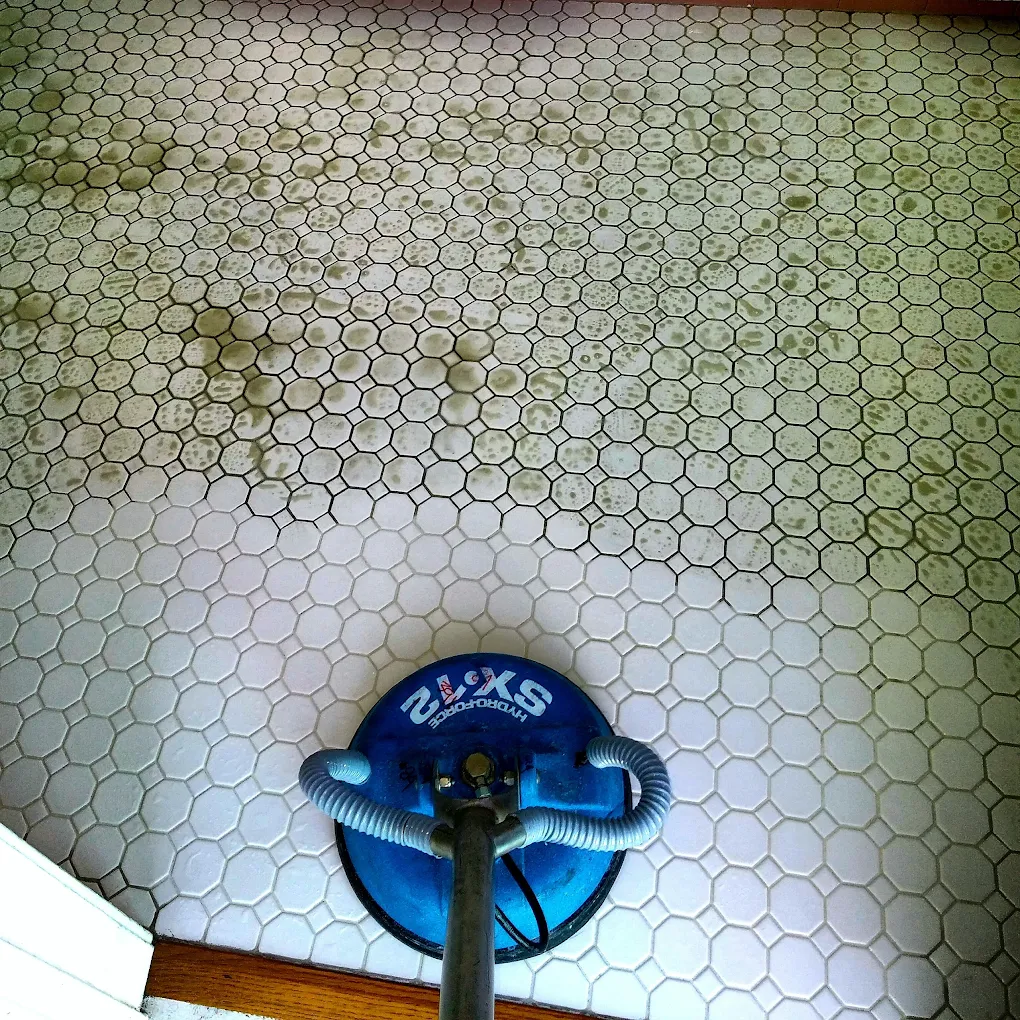 Carpet cleaning service