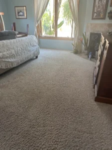 Carpet Cleaning Service oct. 21 2025 blog