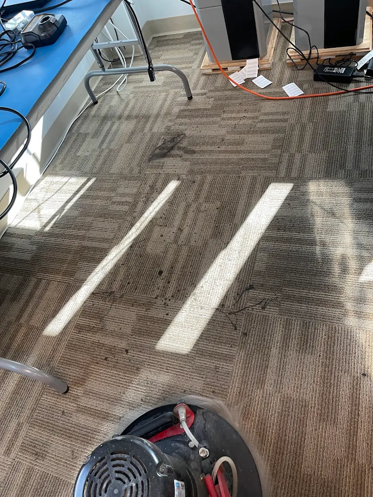 Rug cleaning San Diego, CA