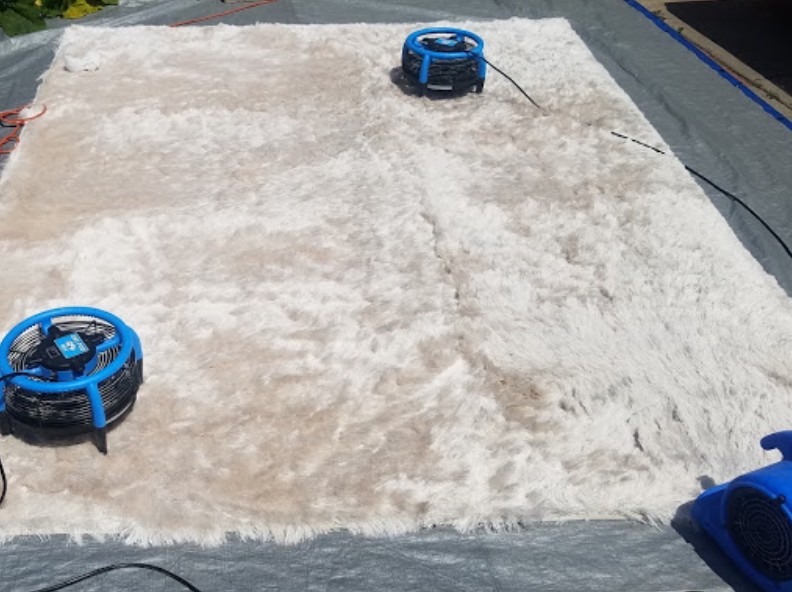 rug cleaning San Diego, CA