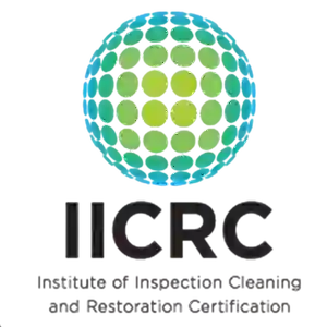 IICRC Certified Carpet and Floor Cleaning Specialist San Diego