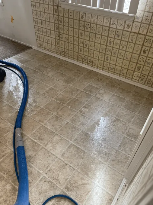 tile and grout cleaning after